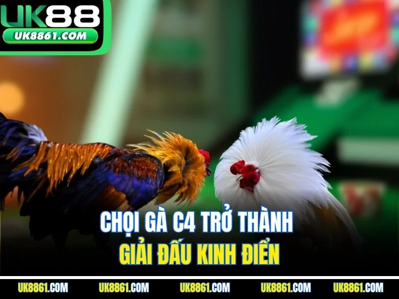 Chọi gà C4 trở thành giải đấu kinh điển