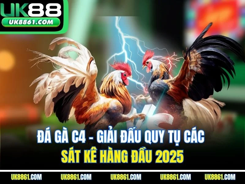 Đá Gà C4 – Giải Đấu Quy Tụ Các Sát Kê Hàng Đầu 2025
