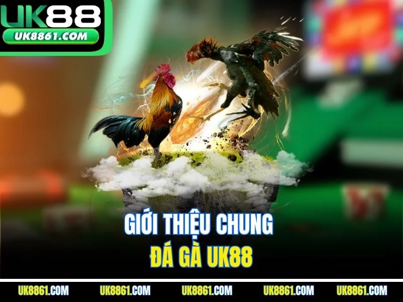 Giới thiệu chung đá gà UK88