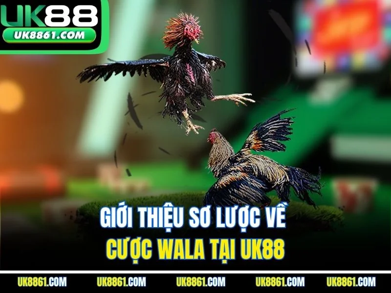 Giới thiệu sơ lược về cược Wala tại UK88