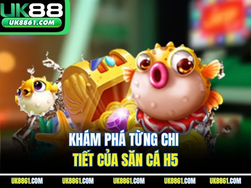 Khám phá từng chi tiết của săn cá H5