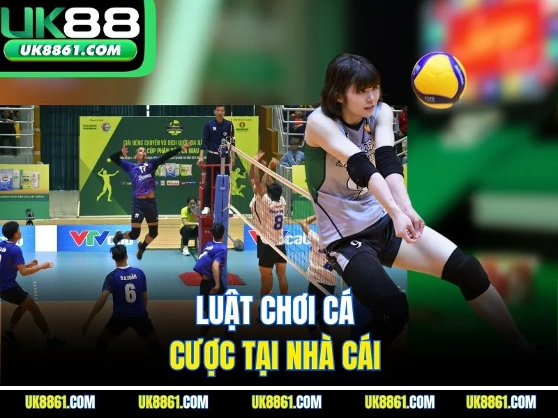 Luật chơi cá cược tại nhà cái 