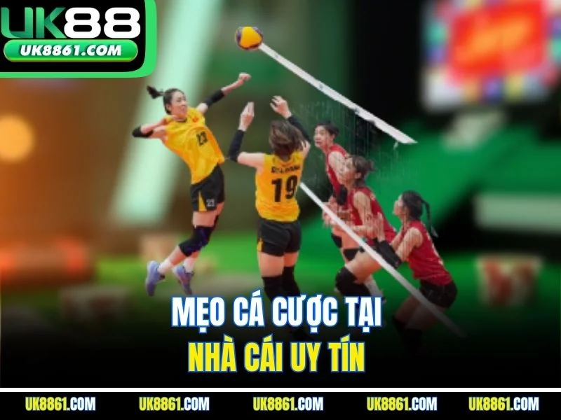 Mẹo cá cược tại nhà cái uy tín 