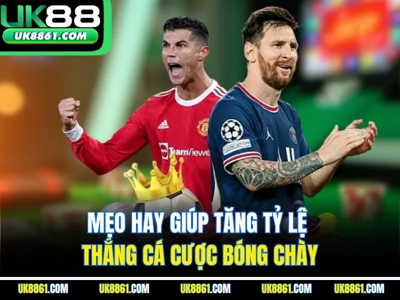 Mẹo hay giúp tăng tỷ lệ thắng cá cược bóng chày