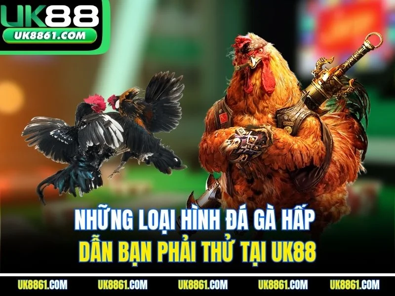 Những loại hình đá gà hấp dẫn bạn phải thử tại UK88