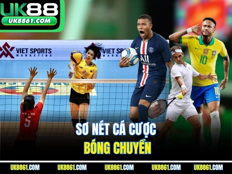 Sơ nét cá cược bóng chuyền